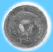 Regenerable membranes for desalination